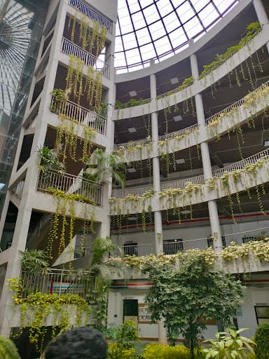 SCMSA-gallery-image-5