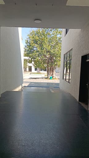 CARE COE-gallery-image-5