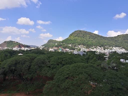 SPAV-gallery-image-5