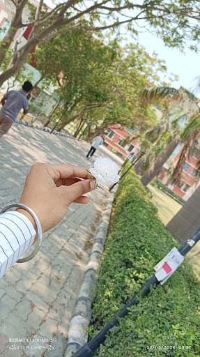 BIP Gorakhpur-gallery-image-7