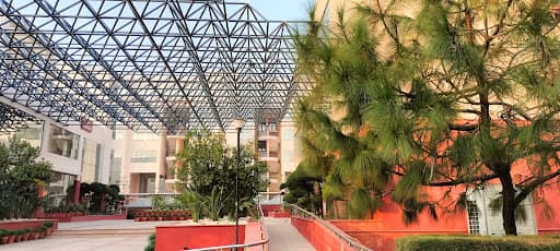 NLUD-gallery-image-6