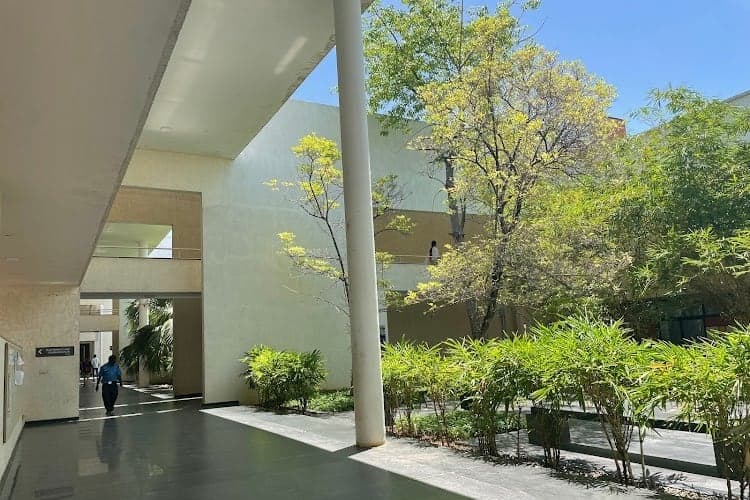 CARE College of Arts and Science-image