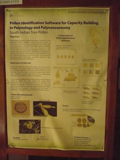 The French Institute of Pondicherry-gallery-image-6