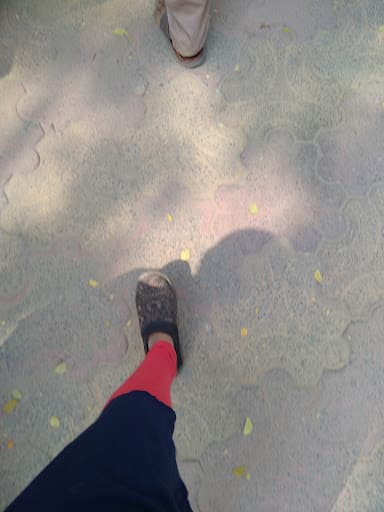 BGMCH-gallery-image-5