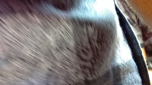 Dwijendralal College-gallery-image-5