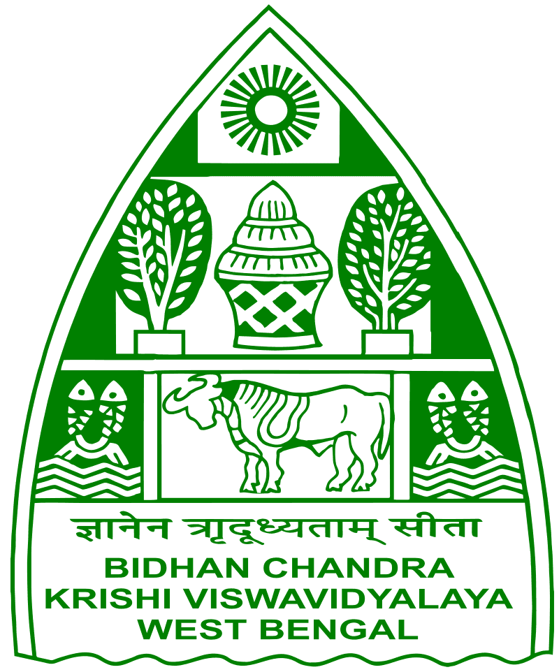 BCKV-gallery-image-2