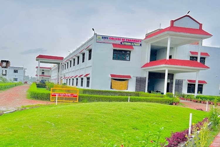 B.M.S. College of Pharmacy-image