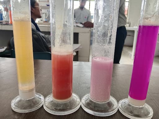 S.J.I.P.-gallery-image-5