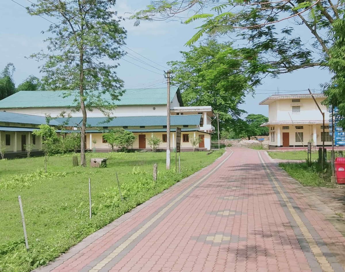 Silapathar College-gallery-image-3