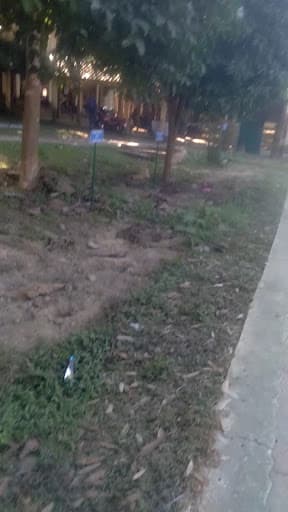 Silapathar College-gallery-image-5