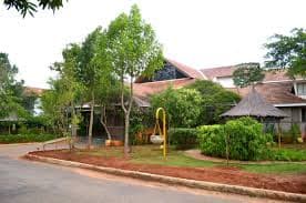 S-VYASA FOTHSAT-gallery-image-0