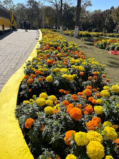 SBU Ranchi-gallery-image-6