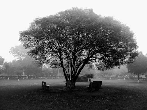 SBS State University-gallery-image-5