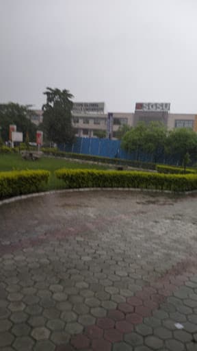 SGS University Bhopal-gallery-image-6