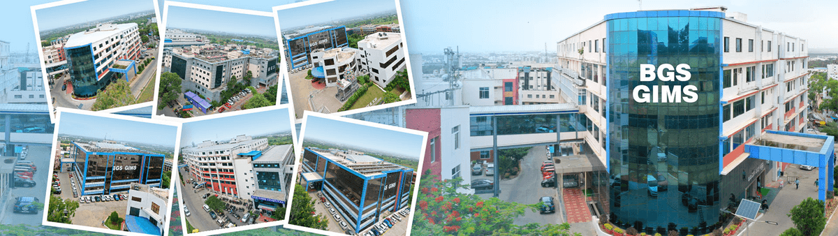 BGSGIMS-gallery-image-4