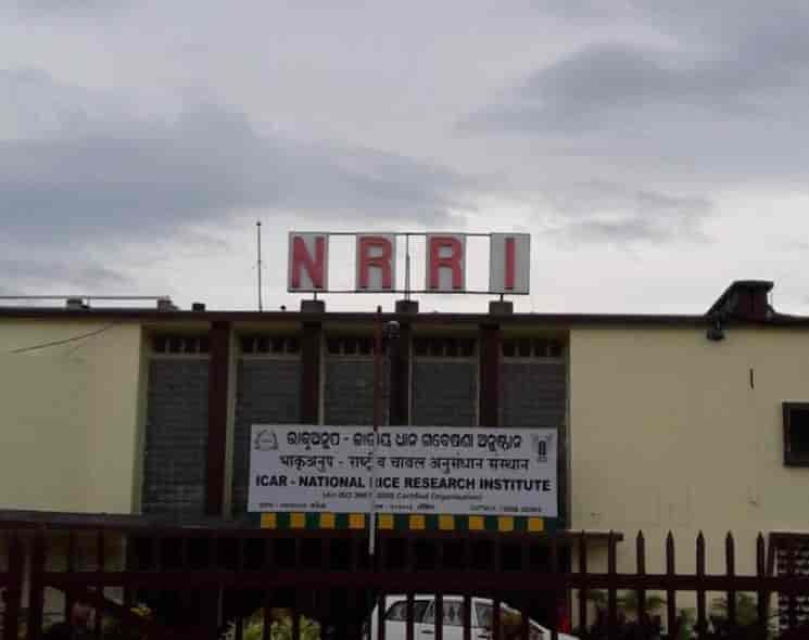 Central Rice Research Institute-image