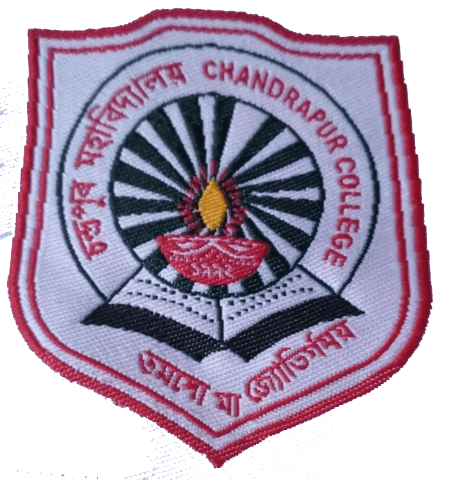 Chandrapur college-image