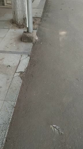 DAVC Chandigarh-gallery-image-5