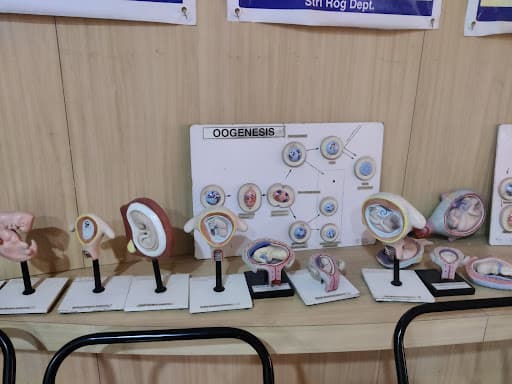 DY Patil Ayurved College, Pimpri-gallery-image-7