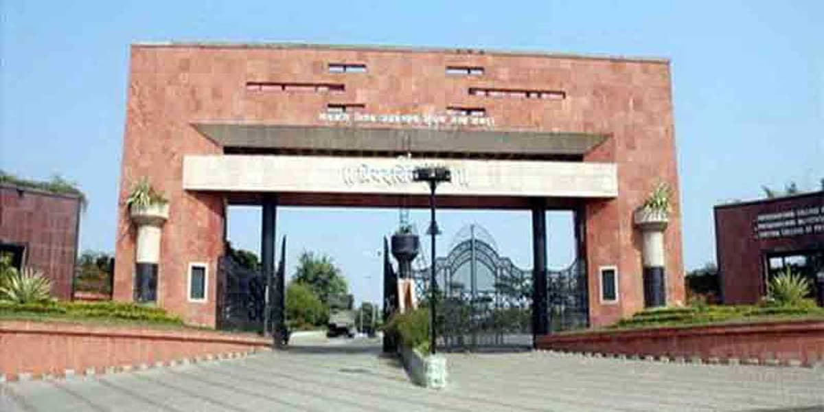 PLTIMSR-gallery-image-0